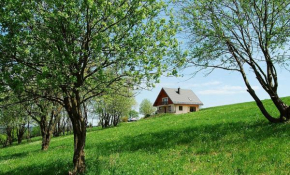 Domek Zieleniec